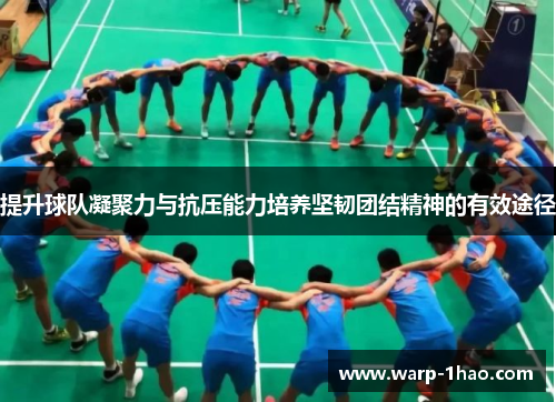提升球队凝聚力与抗压能力培养坚韧团结精神的有效途径