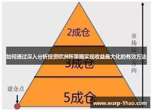 如何通过深入分析投资欧洲杯策略实现收益最大化的有效方法