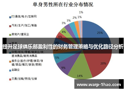 提升足球俱乐部盈利性的财务管理策略与优化路径分析