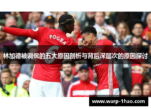 林加德被调侃的五大原因剖析与背后深层次的原因探讨 林加德被调侃的五大原因剖析与背后深层次的原因探讨
