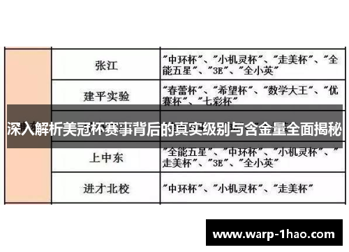 深入解析美冠杯赛事背后的真实级别与含金量全面揭秘