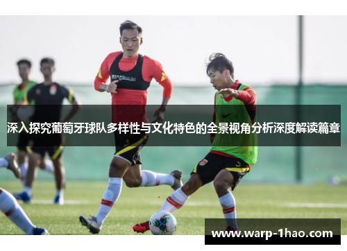 深入探究葡萄牙球队多样性与文化特色的全景视角分析深度解读篇章 深入探究葡萄牙球队多样性与文化特色的全景视角分析深度解读篇章
